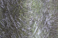 Troway fibreglass roof work